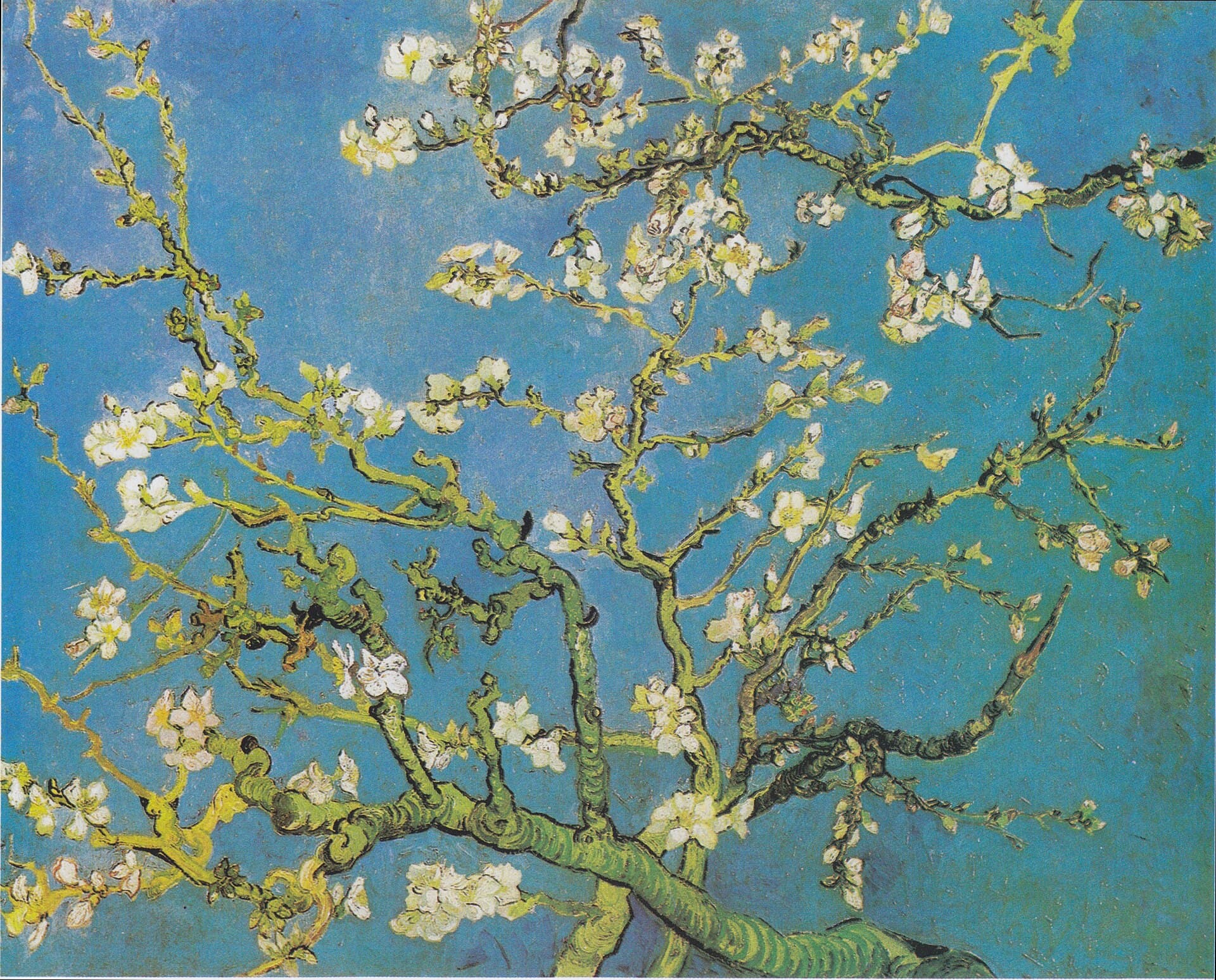 Almendro en flor de Vincent van Gogh
